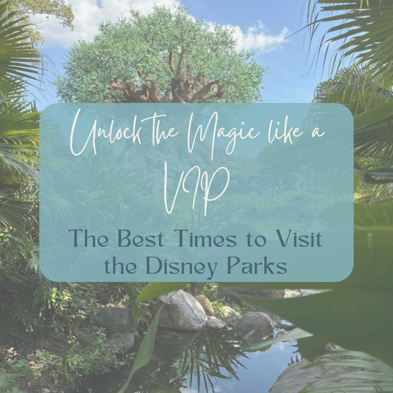 The words "Unlock the Magic like a VIP: The Best Times to Visit the Disney Parks" lay on top of a greenish blue background with an image of The Tree of Life at Disney World's Animal Kingdom in the background.